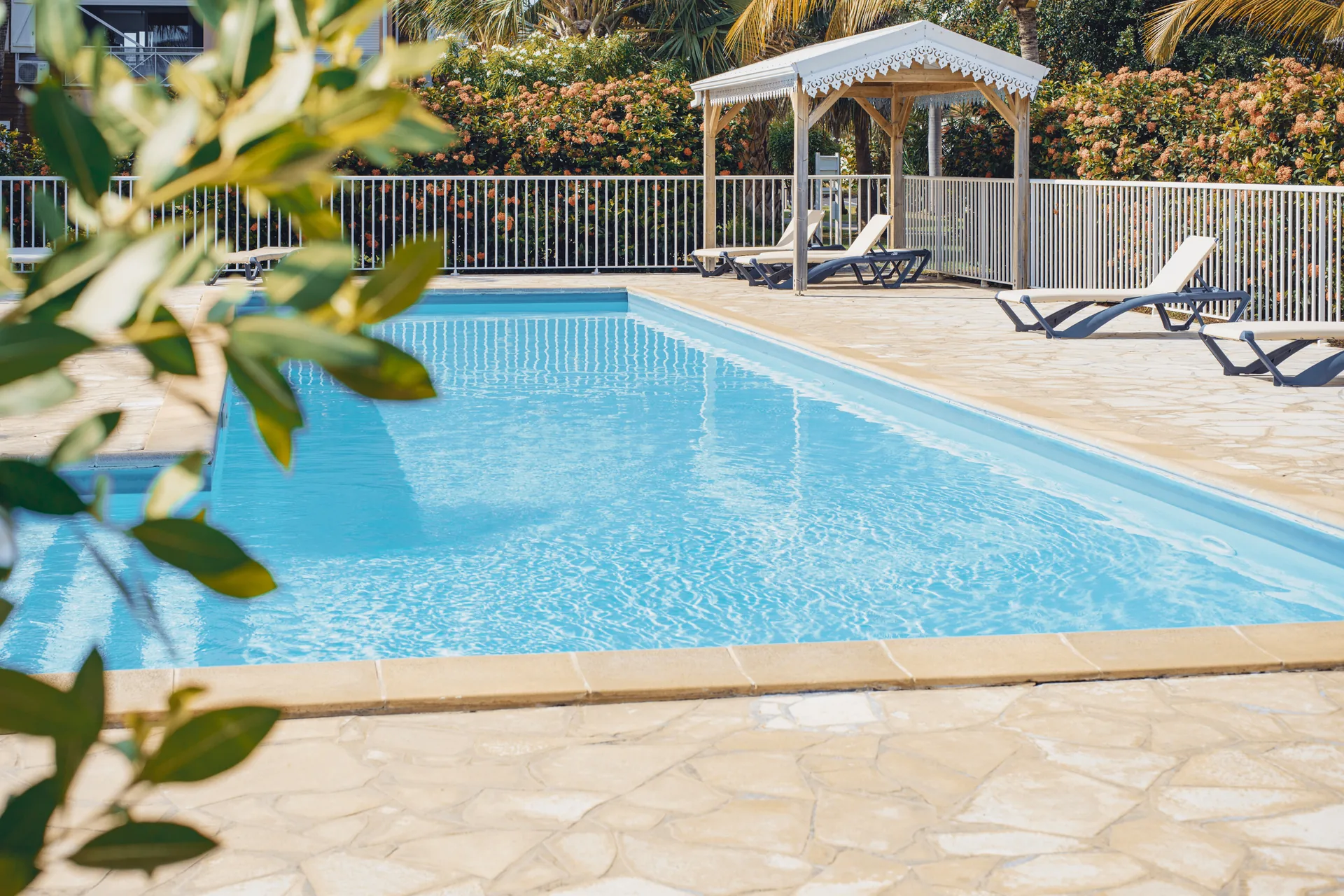 Piscine tropicale de la résidence