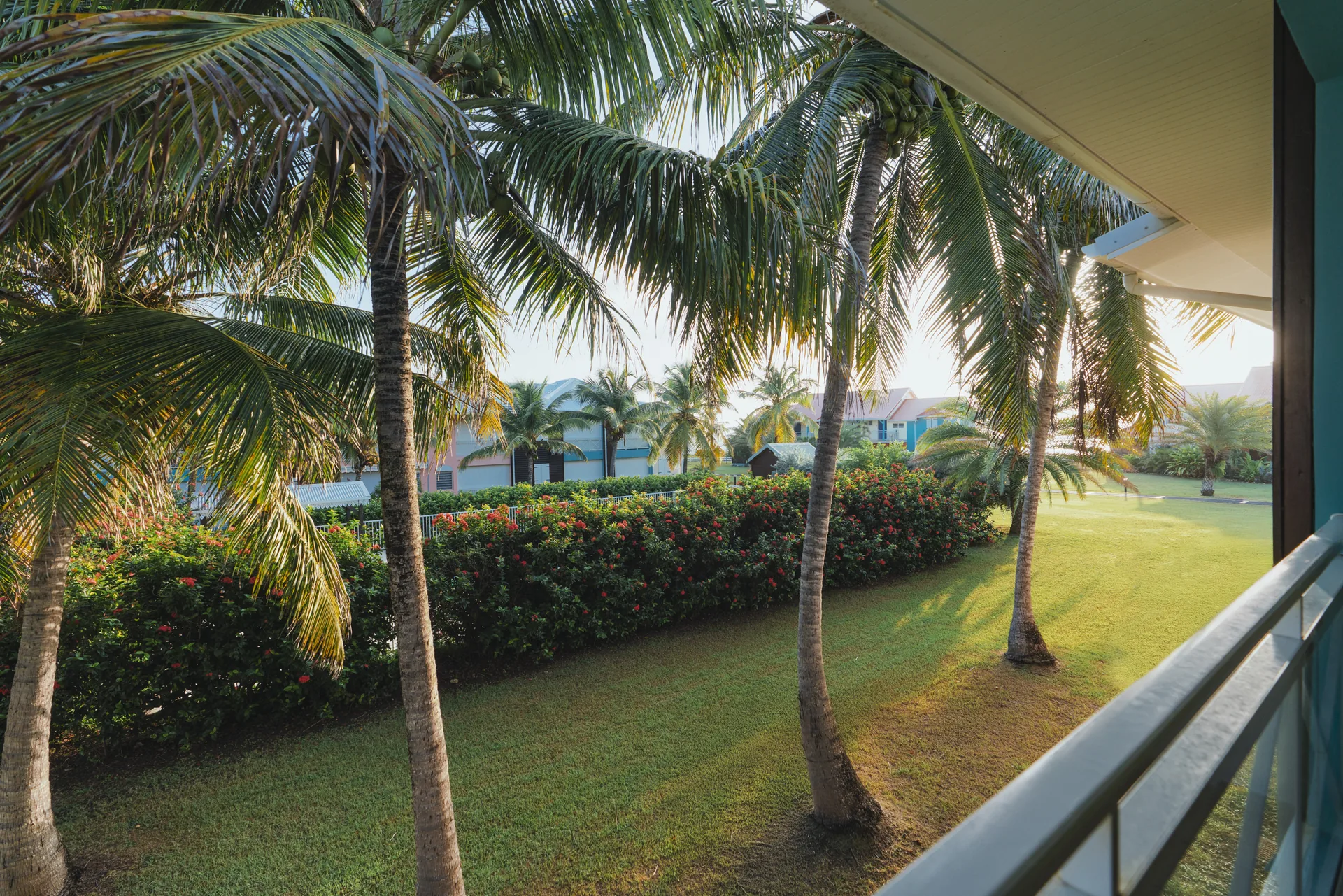 Jardins tropicaux vus depuis Courbaril