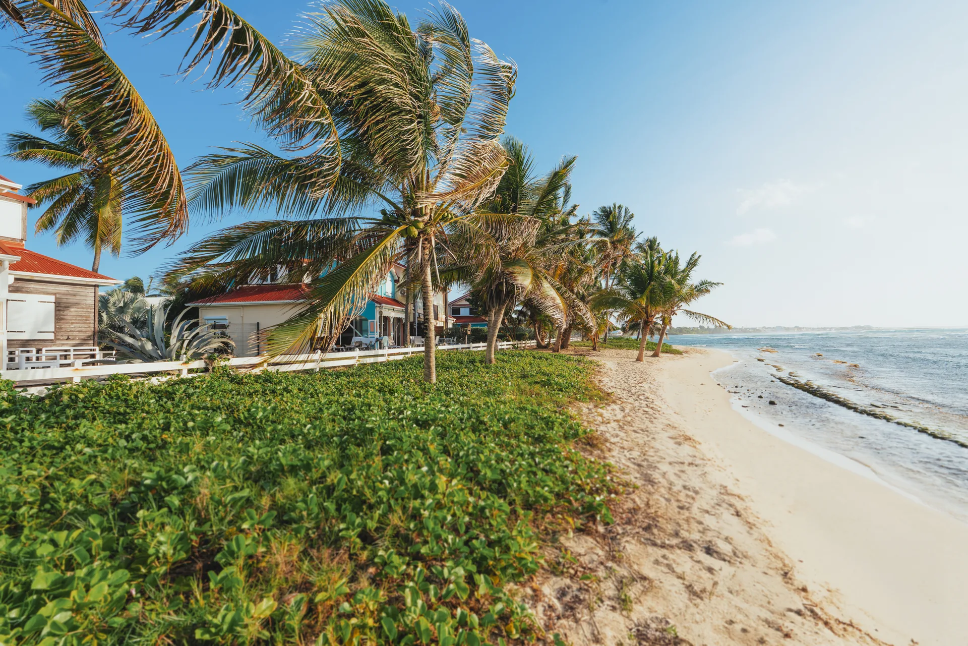 Rivage au pied de Crystal Beach